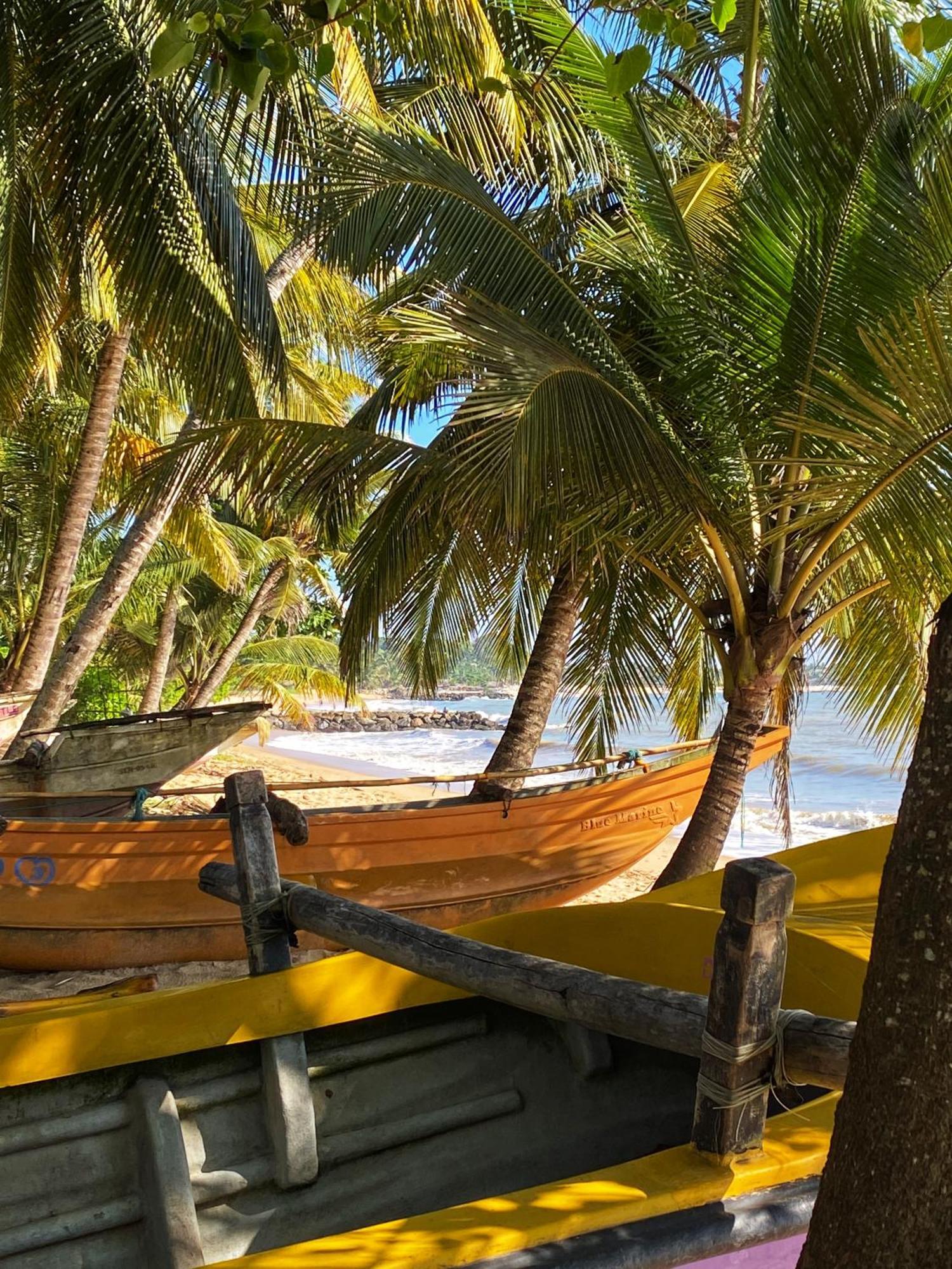 Lagoon Boutique Hotel Kanattegoda Buitenkant foto